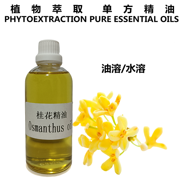 桂花精油