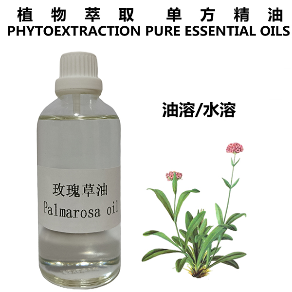 玫瑰草油