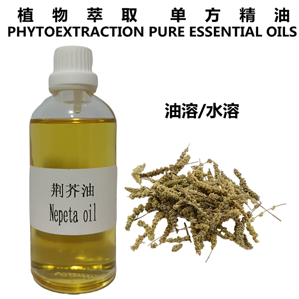 荆芥油