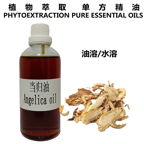 当归油