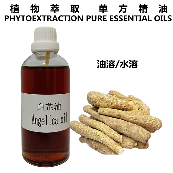 白芷油