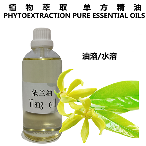依兰油