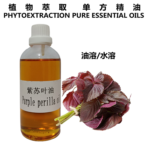 紫苏叶油