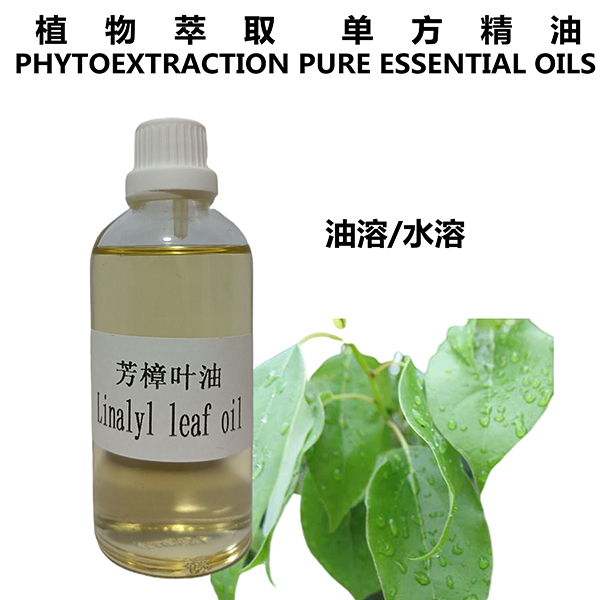 Cinnamomum camphora leaf oil