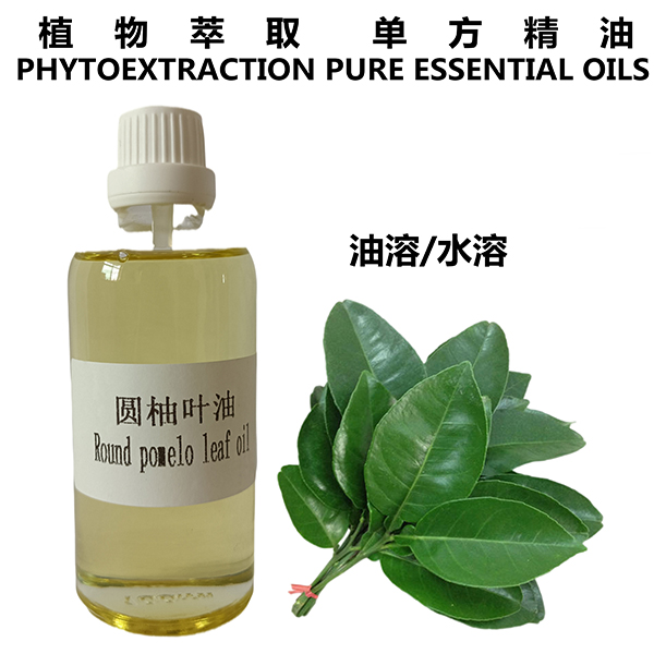 圆柚叶油