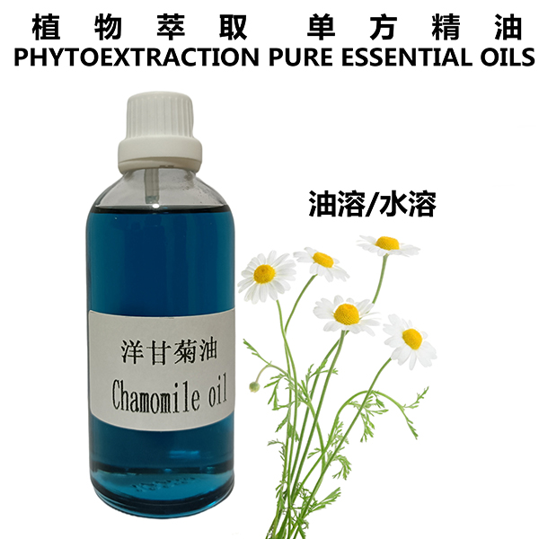 洋甘菊油