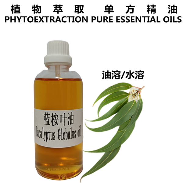 蓝桉叶油