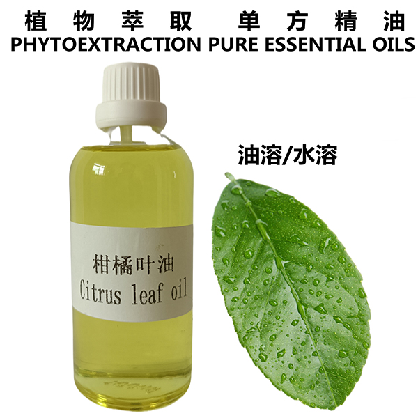 柑橘叶油