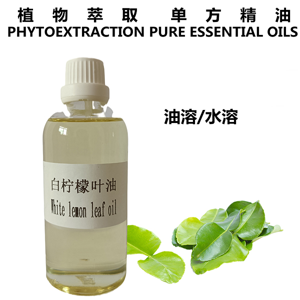 白柠檬叶油