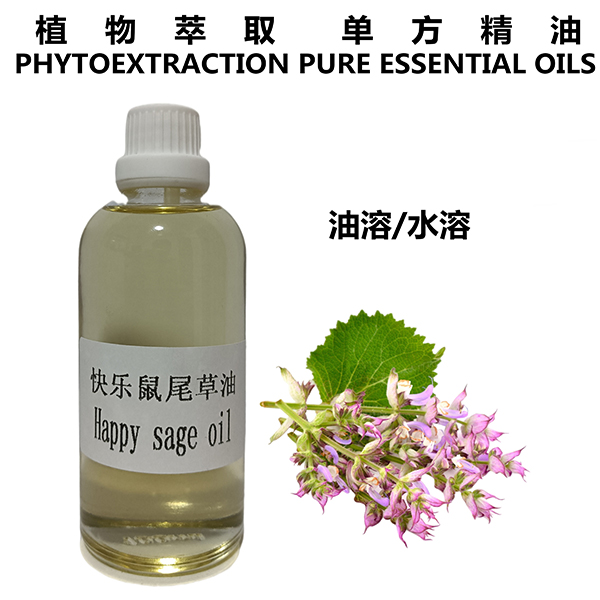 快乐鼠尾草油