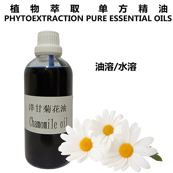 洋甘菊花油