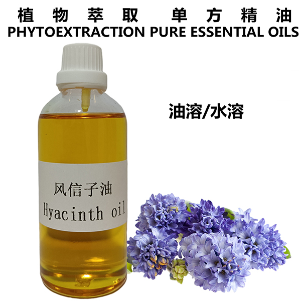 风信子油