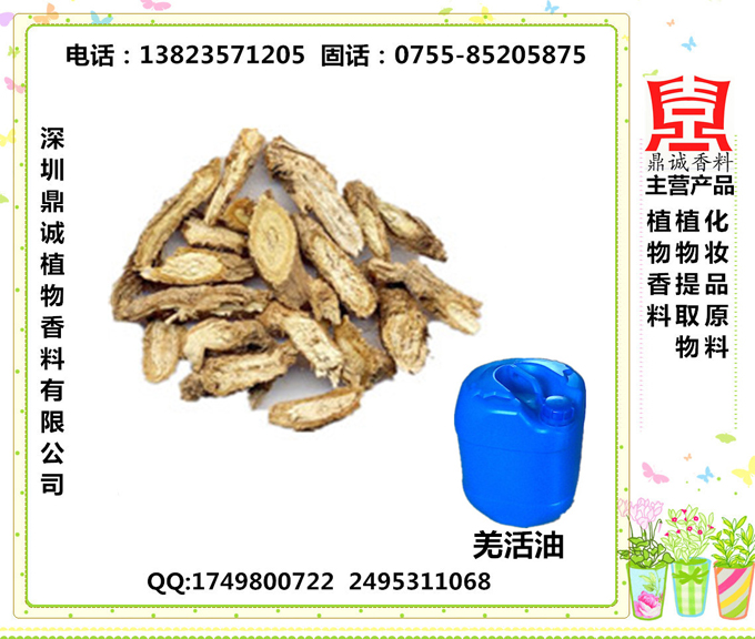 羌活油