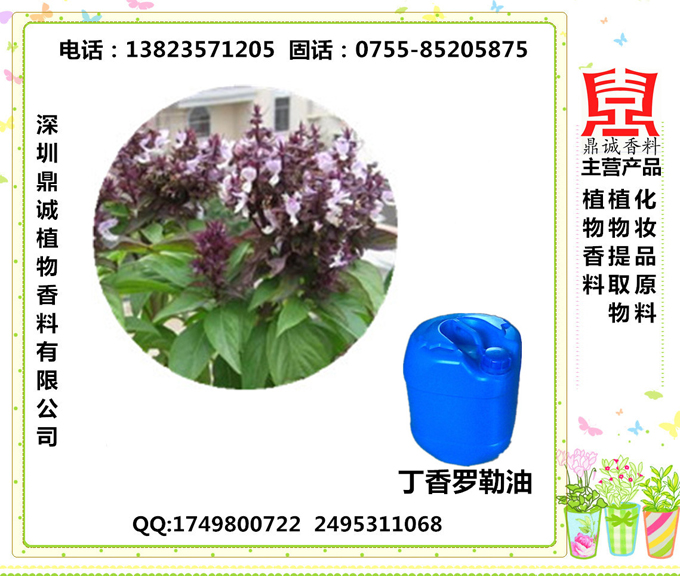 丁香罗勒油