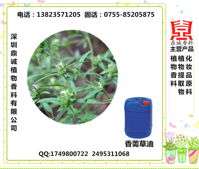 香薷草油